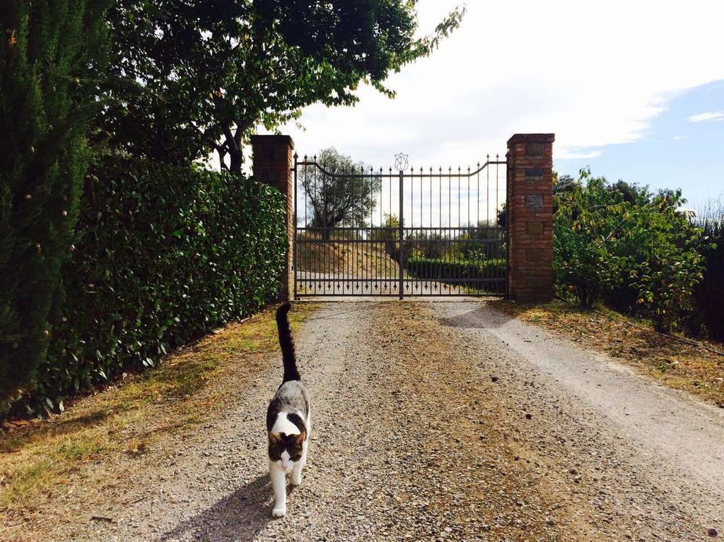 Agriturismo La Bicocca - Apt. "Il Leccio" Castel Rigone Phòng bức ảnh